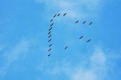image_00035-1024