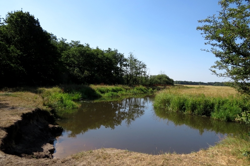 Natuur-omgeving-Zuidlaren-014