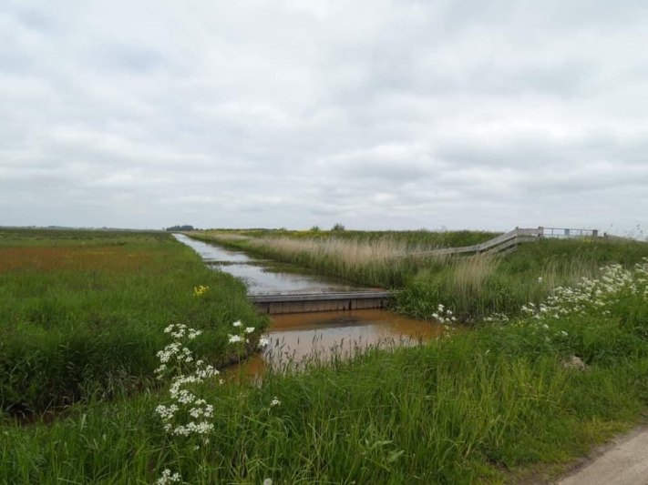 Oostpolder