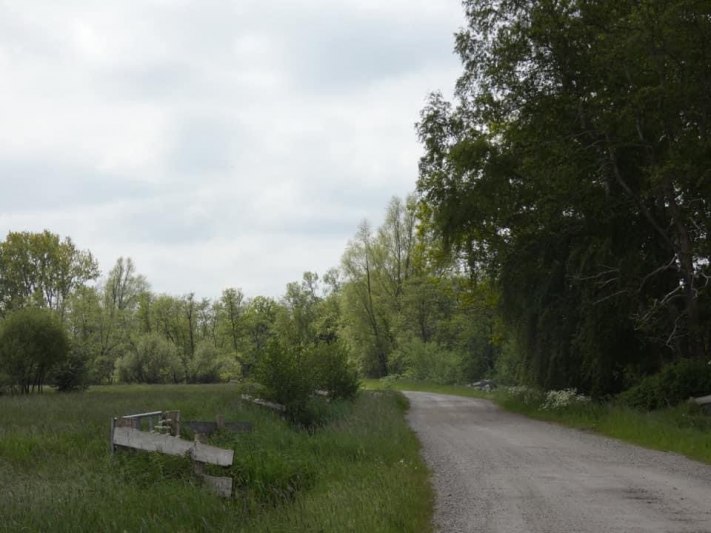 Oostpolder