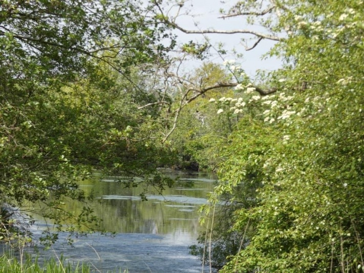 Oostpolder