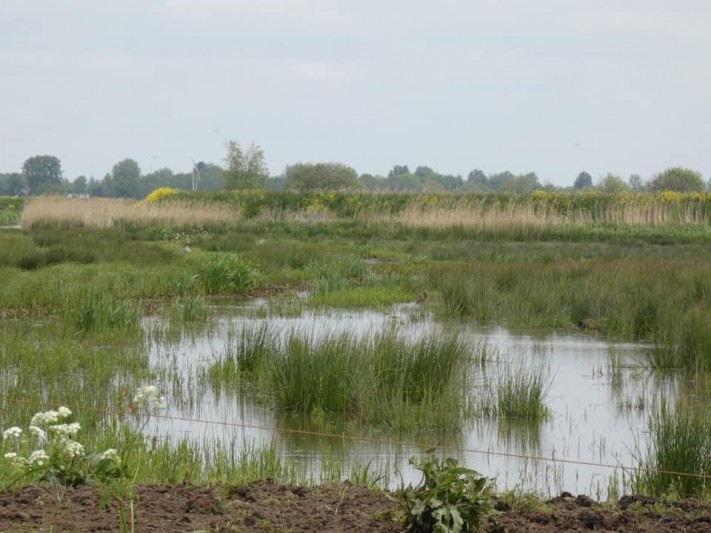 Oostpolder